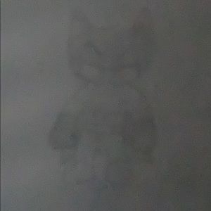 Meet your Posher, Nathan